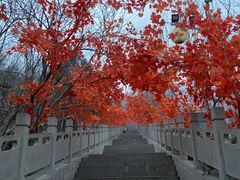 -抱犊寨风景区