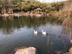 -水绘园