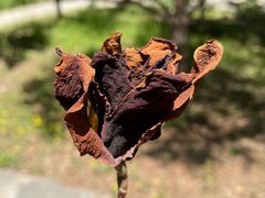 -周口店北京人遗址公园