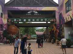 -苏州乐园森林水世界