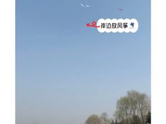 -洨河生态公园