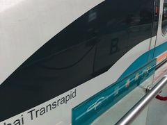 -龙阳路磁悬浮列车总站-停车场