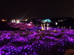 -大塘金香草谷