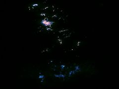 -日照世帆赛基地