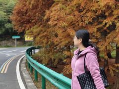 -南京市无想山景区