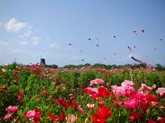 -漩门湾国家湿地公园