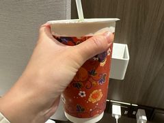 -雾与山茶(大禹城店)