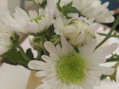 -法桐蛋糕·手作面包(万象城店)