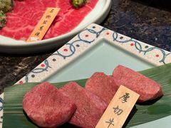 -老乾杯(深圳湾万象城店)