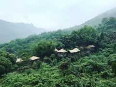 -天门沟九州驿站树上汤泉
