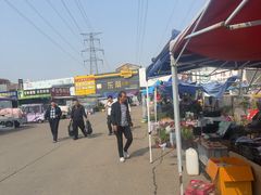 -中环花鸟鱼虫市场