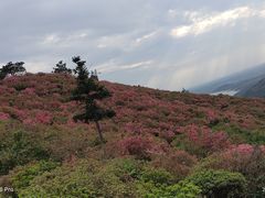 -木兰云雾山