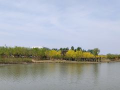 -东郊湿地公园