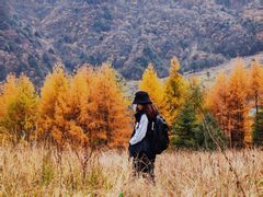 -硗碛藏寨·神木垒景区