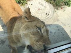 -西安秦岭野生动物园