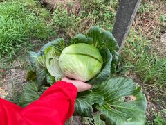 -美家乐农庄·露营·团建(大治路店)