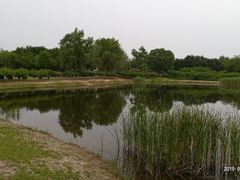 -永定河休闲森林公园