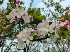 -天鹅湖体育公园