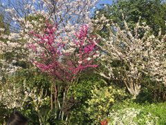 -杭州城北体育公园