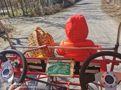 -上海海湾国家森林公园