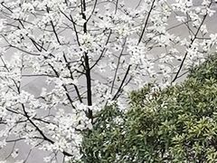 -郑和公园