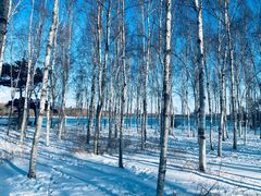 -长春市南湖公园