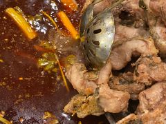 -肖肖酸萝卜鱼火锅(总店)