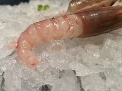 -月龍吟(朝龙汇店)