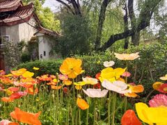 -名花谷生态庄园