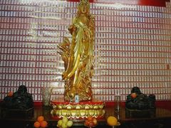 -圆明讲堂