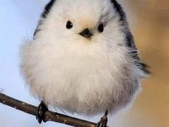 -L猪扒包(天河购书中心店)