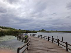 -宁波杭州湾国家湿地公园