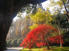 -上海虹桥迎宾馆