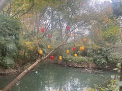 -西溪国家湿地公园