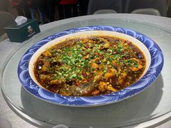-新概念来凤鱼(璧山店)