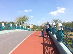 -上海长兴岛郊野公园