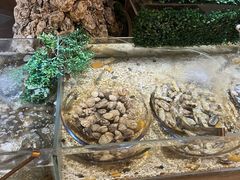 -上海神旺大酒店