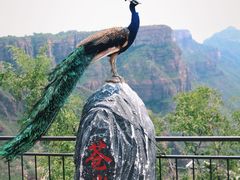 -苍岩山风景名胜区
