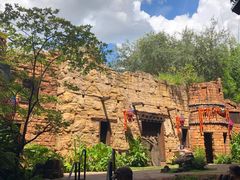 -奥兰多迪士尼动物王国乐园