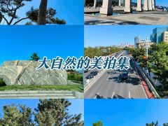 -幸福门