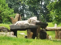 -北京野生动物园