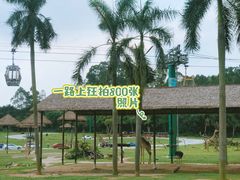 -广州长隆野生动物世界