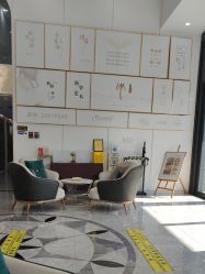 -熙朵美学植发·连锁品牌