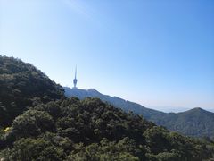 -梧桐山风景名胜区