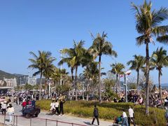 -大梅沙海滨公园