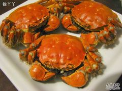 大蟹蟹-丫丫蟹庄·苏式园林农家乐·阳澄湖大闸蟹(阳澄湖莲花岛店)