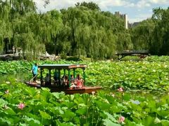 android_upload_pic-紫竹院公园冰场