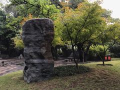 -柳侯公园