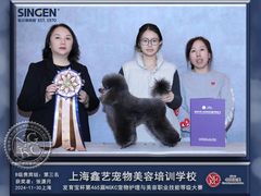 -鑫艺宠物美容培训学校