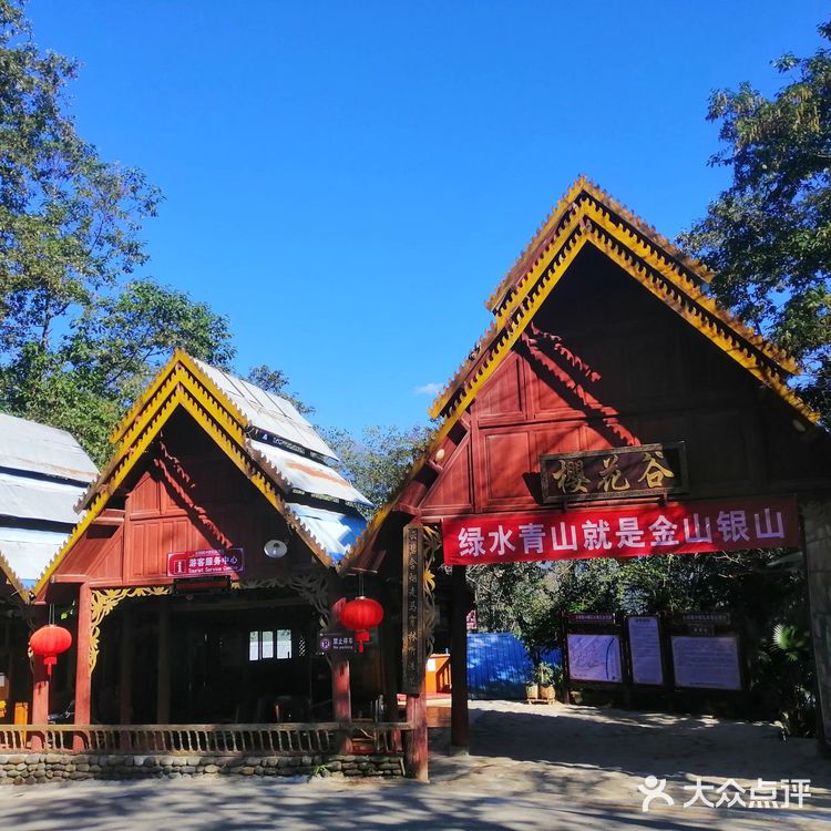 腾冲樱花谷森林温泉